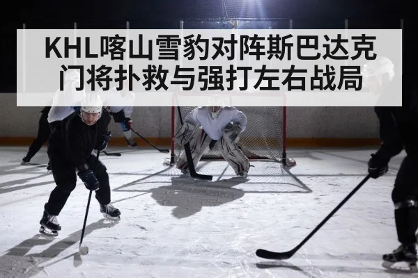 ice hockey arena action